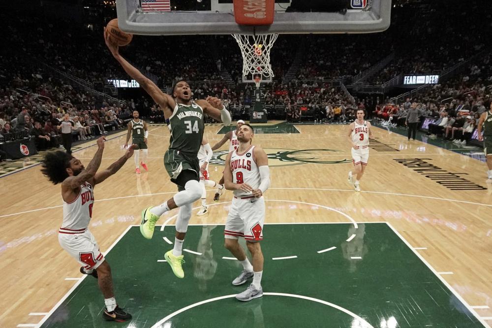 会所会员 会所会员